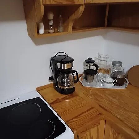 Gasthof Dwor Pod Sosnami Kaszuby, Sauna *