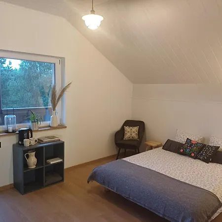 Dwor Pod Sosnami Kaszuby, Sauna *