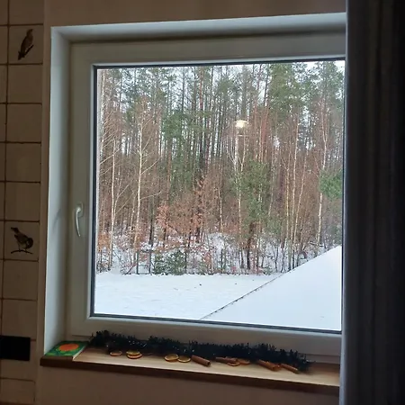 Dwór Pod Sosnami Kaszuby, Sauna *