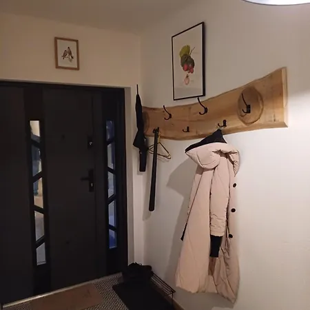 Dwor Pod Sosnami Kaszuby, Sauna * Ostrzyce