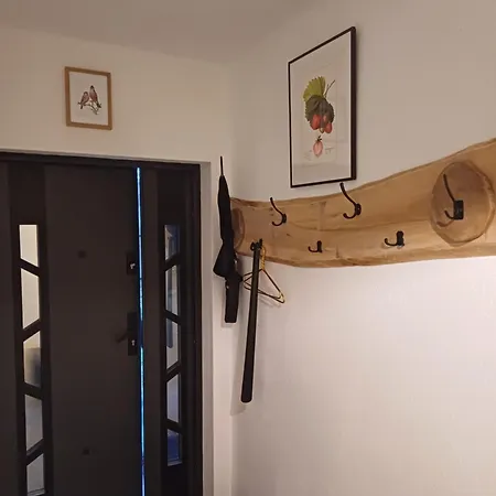 Dwor Pod Sosnami Kaszuby, Sauna Ostrzyce