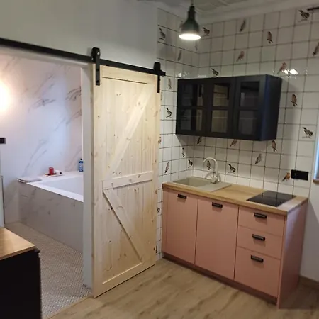 Dwor Pod Sosnami Kaszuby, Sauna Konukevi Ostrzyce