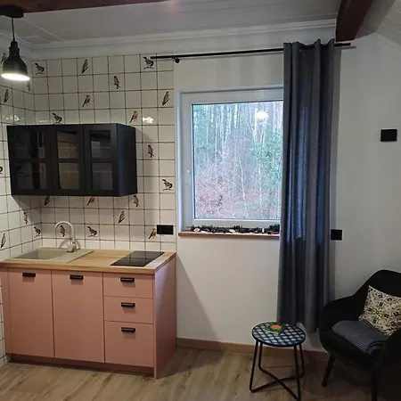 Dwor Pod Sosnami Kaszuby, Sauna *