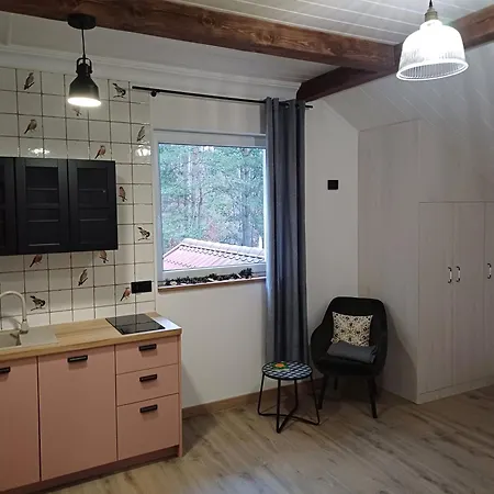 Gasthof Dwor Pod Sosnami Kaszuby, Sauna *