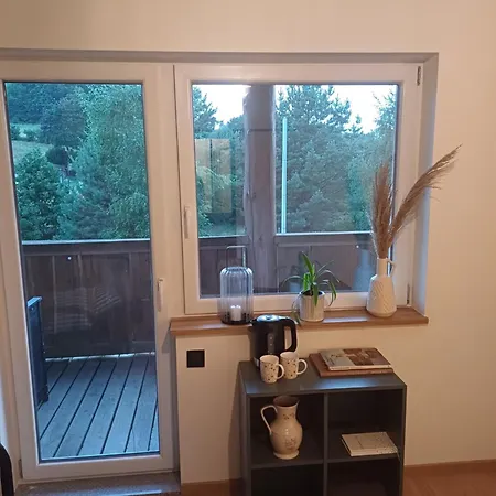 Dwor Pod Sosnami Kaszuby, Sauna Ostrzyce