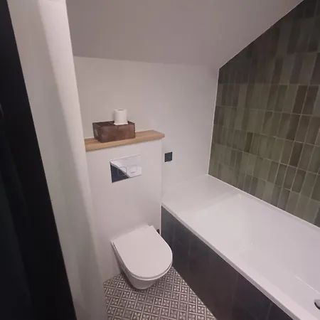 Gasthof Dwor Pod Sosnami Kaszuby, Sauna *