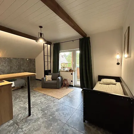 Gasthof Dwor Pod Sosnami Kaszuby, Sauna *