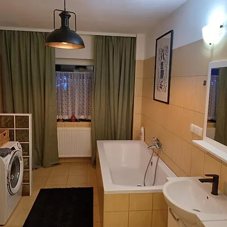 Dwor Pod Sosnami Kaszuby, Sauna 奥斯特基采