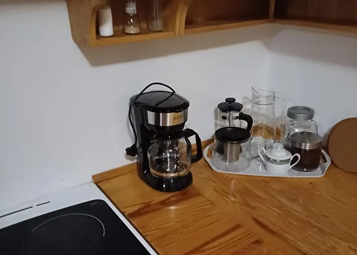 Penzion Dwor Pod Sosnami Kaszuby, Sauna *