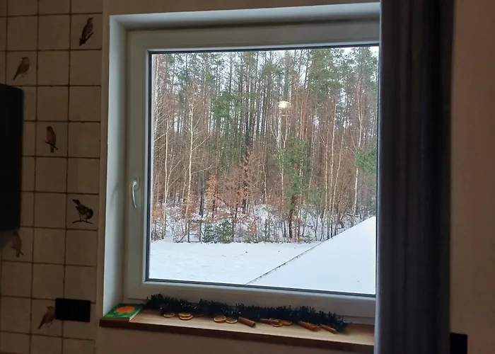 Dwor Pod Sosnami Kaszuby, Sauna *