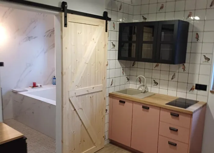 Dwor Pod Sosnami Kaszuby, Sauna Penzion Ostrzyce