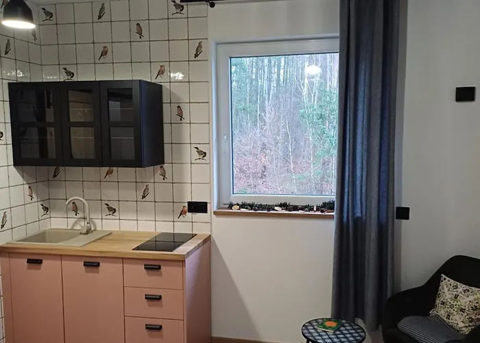 Dwor Pod Sosnami Kaszuby, Sauna *