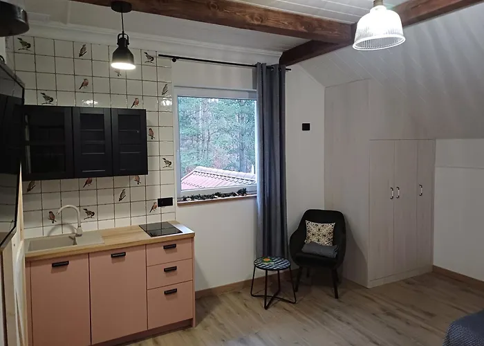 Penzion Dwor Pod Sosnami Kaszuby, Sauna *