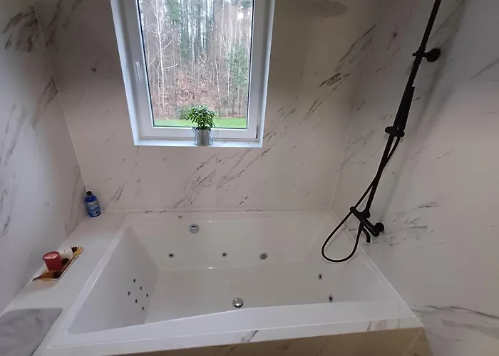 Dwor Pod Sosnami Kaszuby, Sauna Ostrzyce