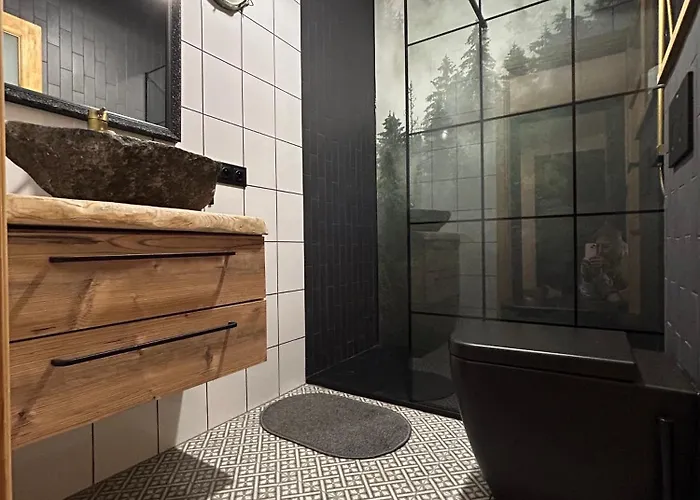 Dwor Pod Sosnami Kaszuby, Sauna * Ostrzyce