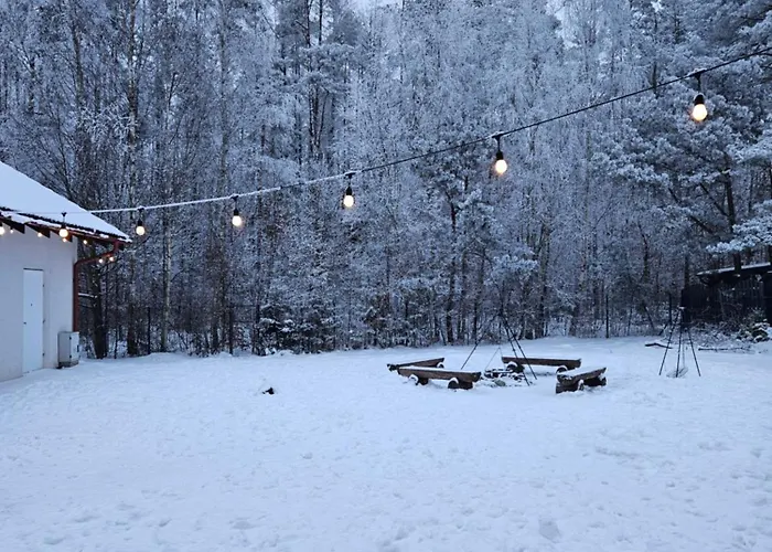 Penzion Dwor Pod Sosnami Kaszuby, Sauna *